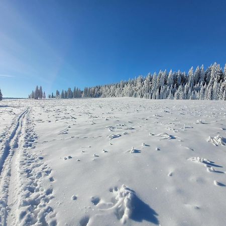 Apartman Spa Sumava Zdikov Luaran gambar