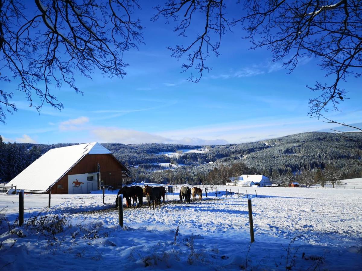 Apartman Spa Sumava Zdikov Luaran gambar