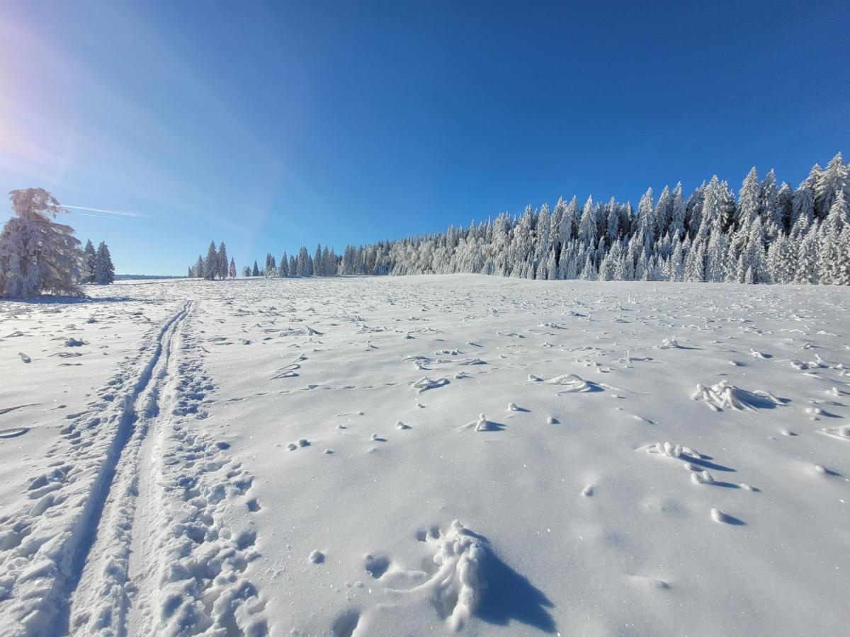 Apartman Spa Sumava Zdikov Luaran gambar